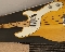 Fender Telecaster Fretless Bass