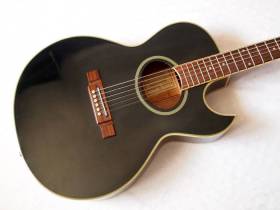 Washburn EA20 Festival series