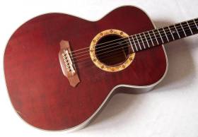 Takamine PT-507