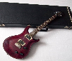 Paul Reed Smith Custom 22