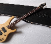 Washburn XB900 Custom Shop (USA)