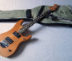 Washburn N4 Nuno Bettencourt
