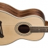 Washburn Guitars представляет новые акустические гитары R315KK и R321SWRK