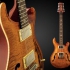PRS guitars представляют новую 12-струнную модель Hollowbody