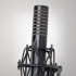 Royer Labs планирует выпуск нового микрофона R-101 Ribbon Microphone в сентябре