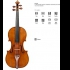 Новый мировой рекорд: скрипка "Молитор" мастера Антонио Страдивари продана на аукционе в Интернете за 3,6 млн долл