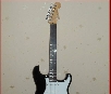Fender Standart Stratocaster