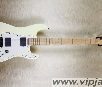 Fender Jim Root Stratocaster
