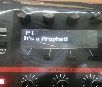Dave Smith Instruments Prophet 12 module