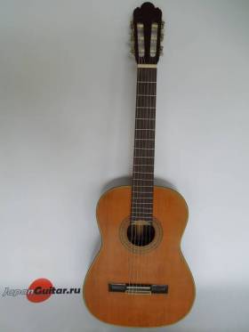 ABE Guitar Model 530
